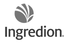 axn-simplificador-digital-clientes-ingredion